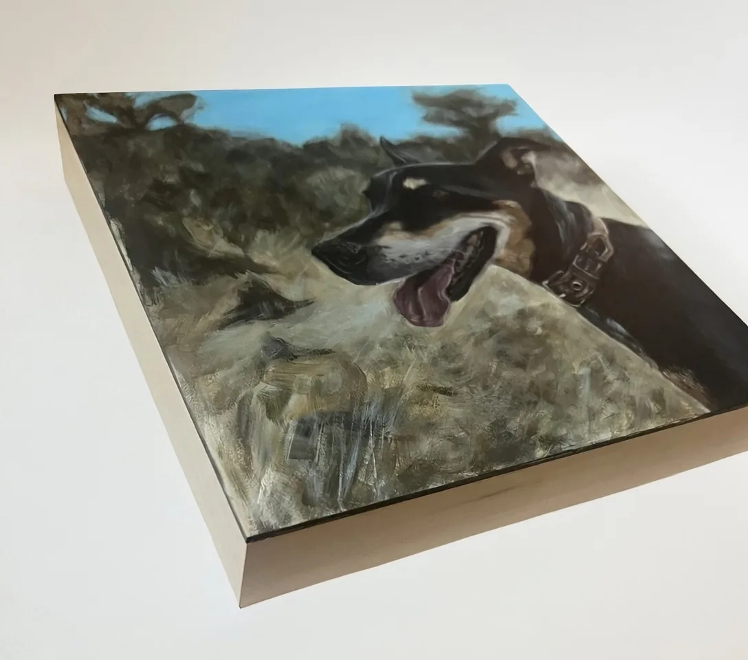 Wood panel surface